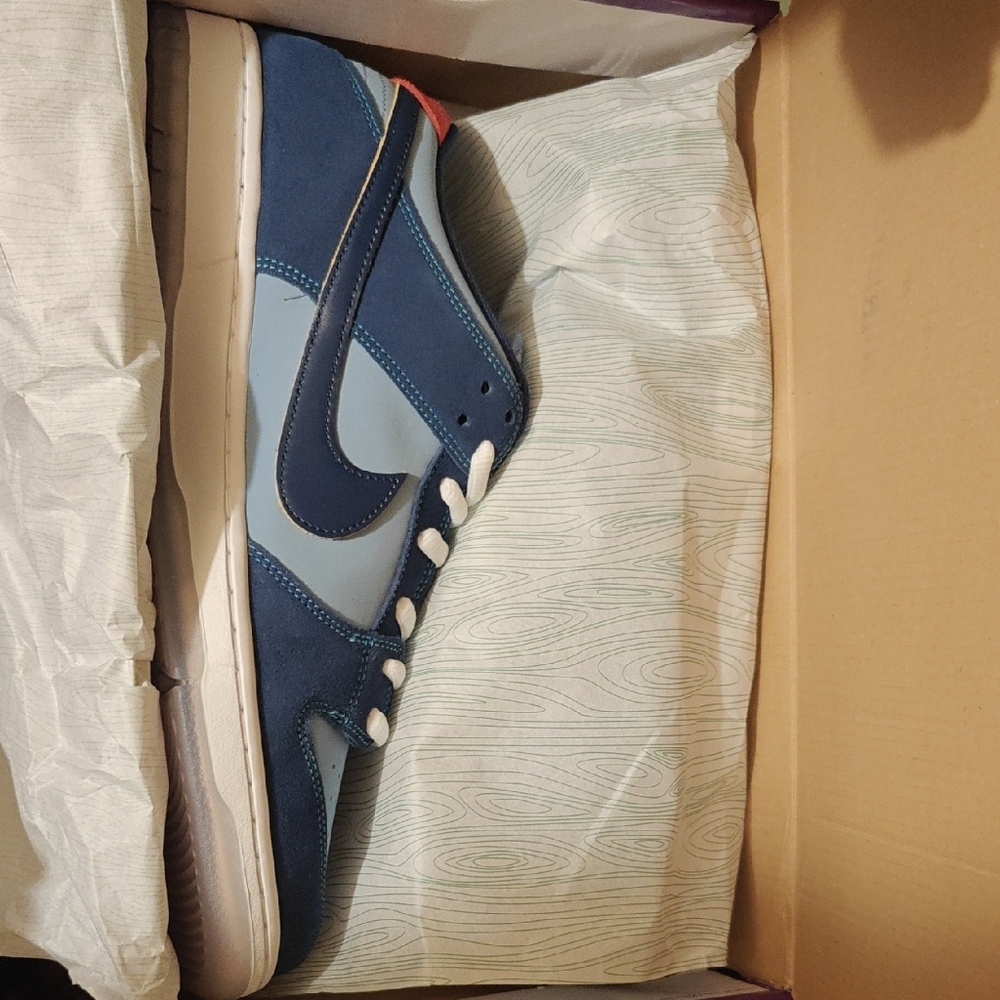 Nike Sb Why So Sad